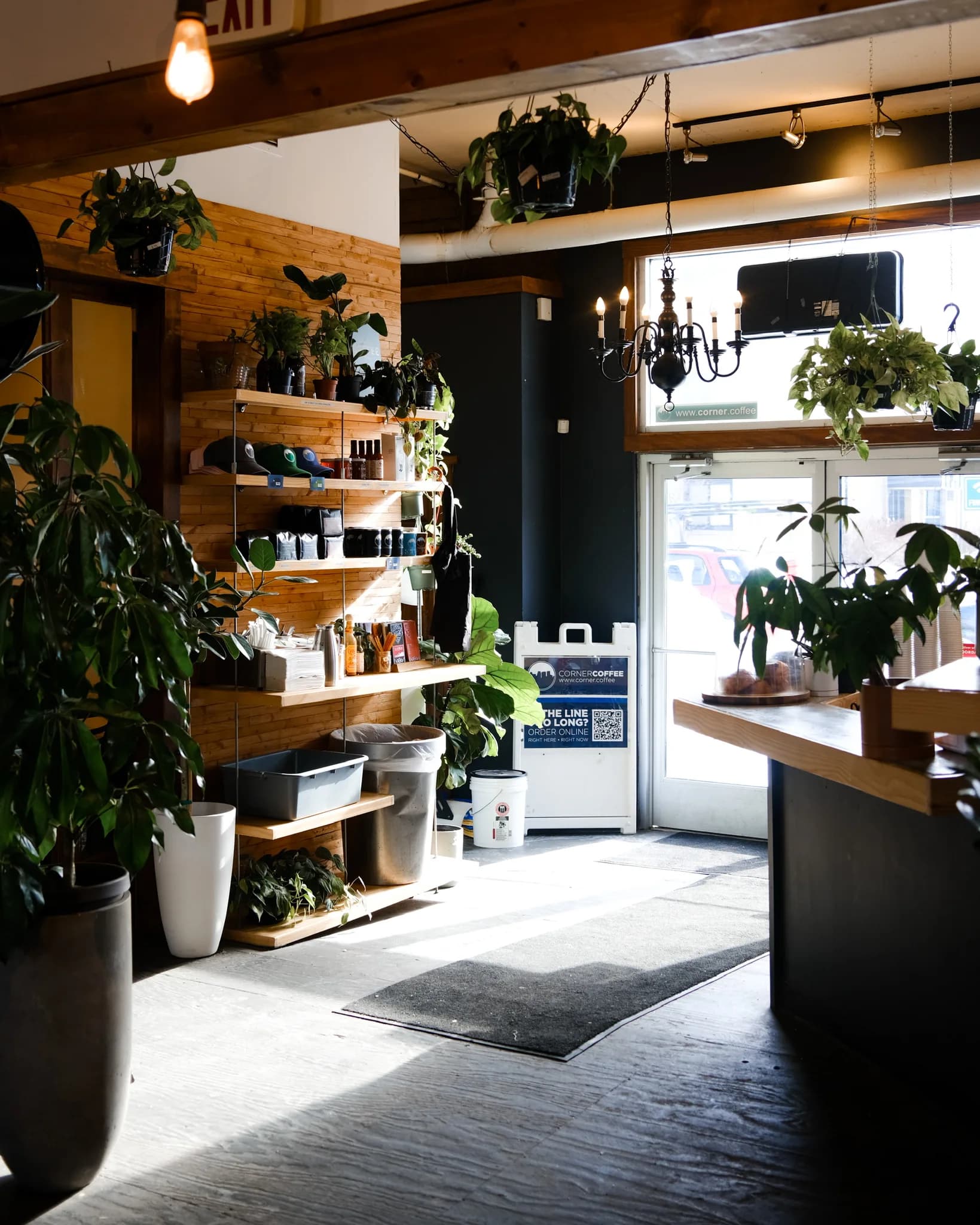 Corner Coffee Uptown entryway with plants, shelving, and chandelier light