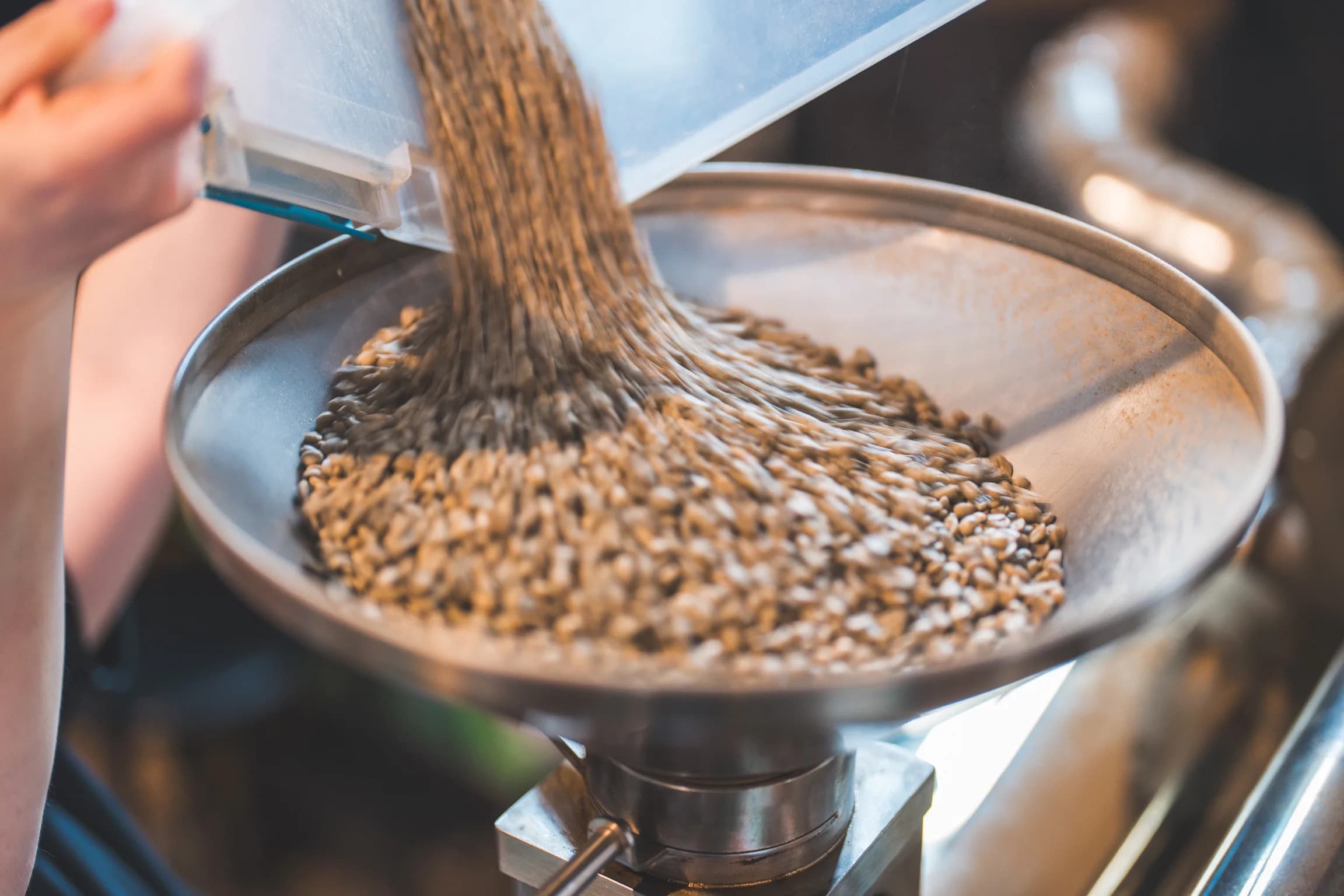 Green coffee beans pouring into the Corner Coffee roaster hopper