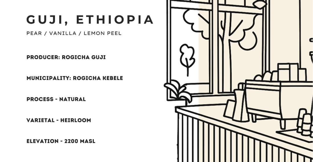 Guji, Ethiopia — A Cup That Feels Like Discovery All Over Again